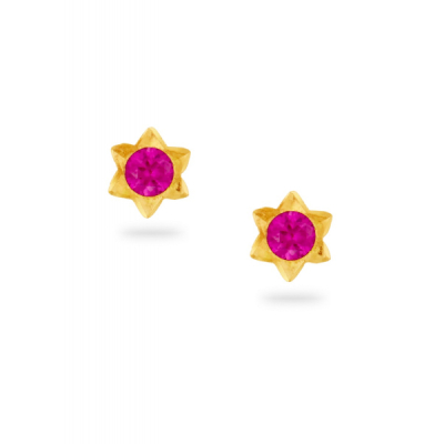 Amethyst Star Shaped 22K Gold Stud Earring
