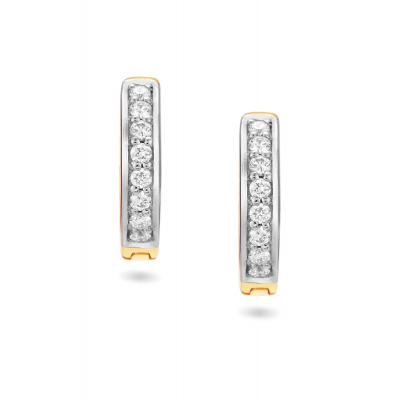 Elegant Hoop Diamond Hanging Earring