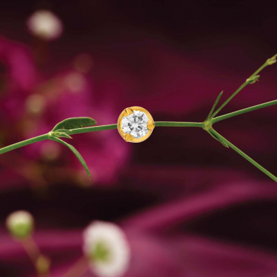 Charming Sparkle Diamond Nose Pin