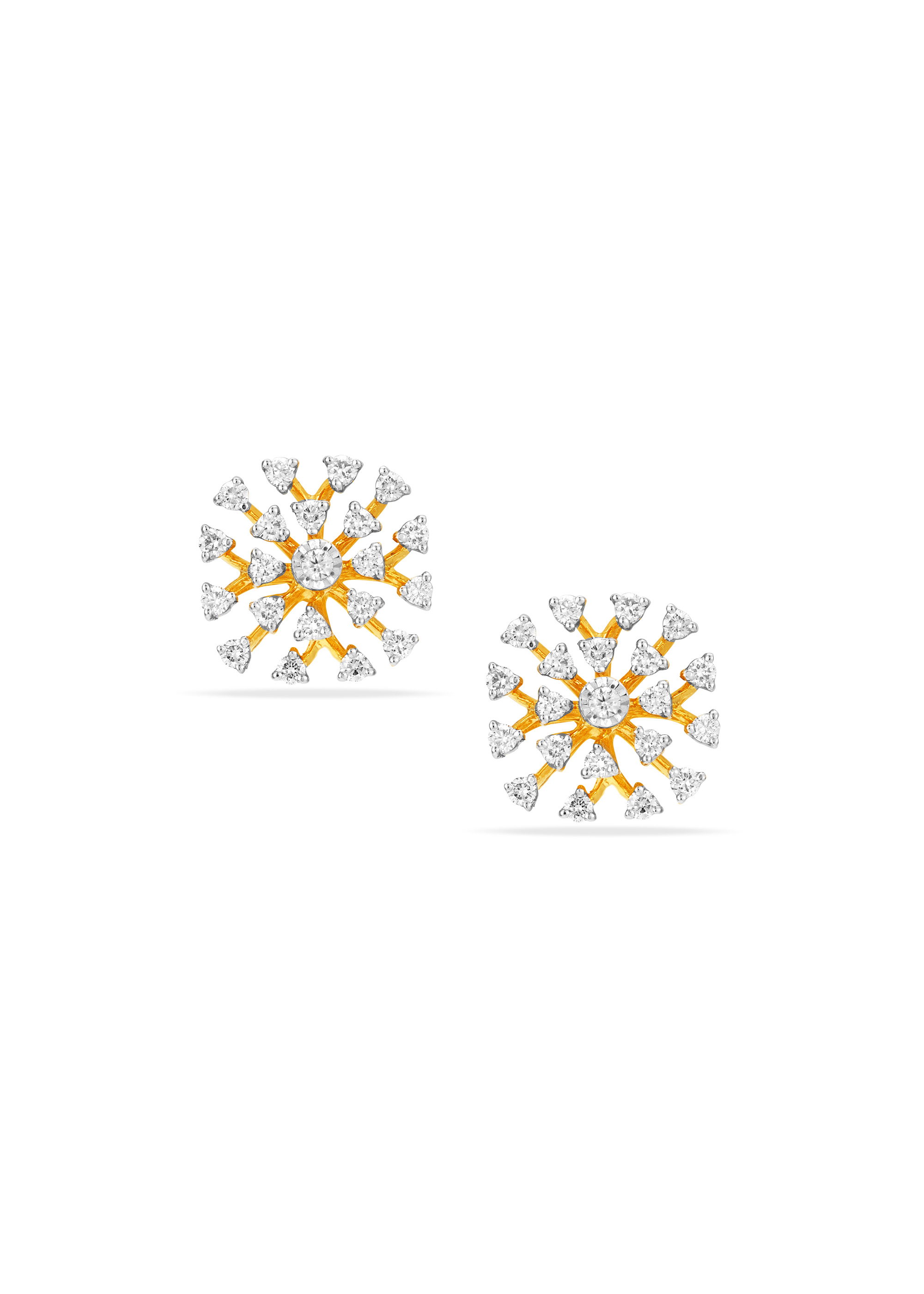 Floral Fractals Earrings