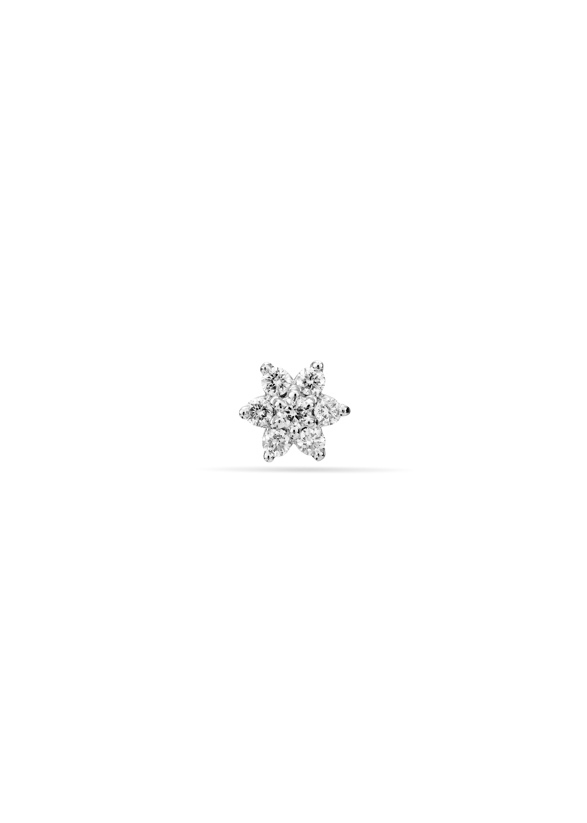 Eternal Charm Nose Pin