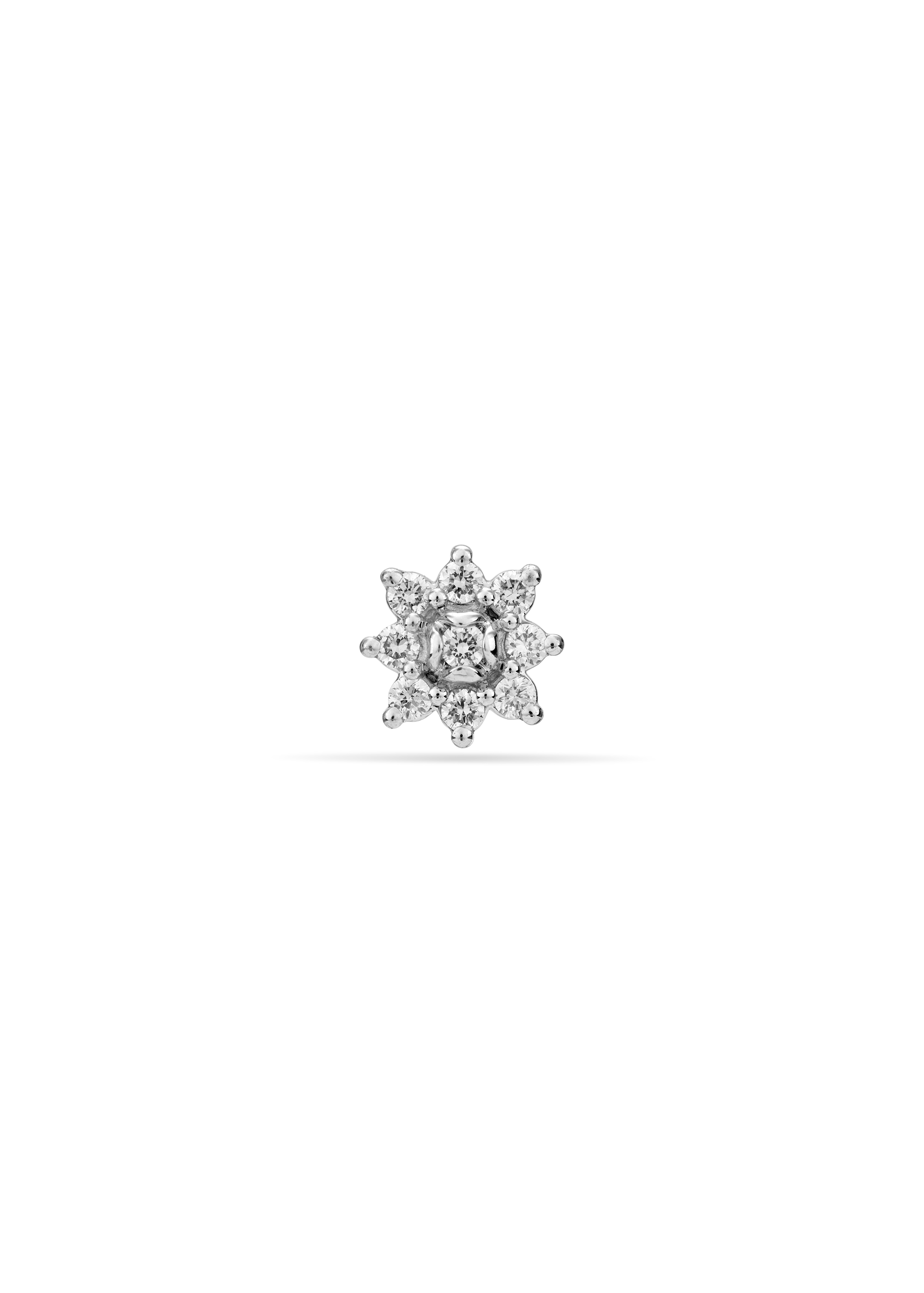 Everlasting Floral Beauty Nose Pin