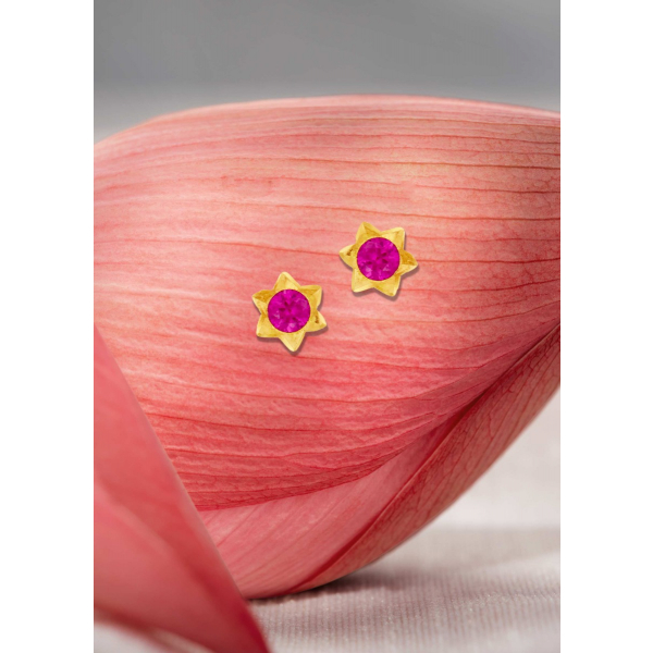 Amethyst Star Shaped Stud Earring