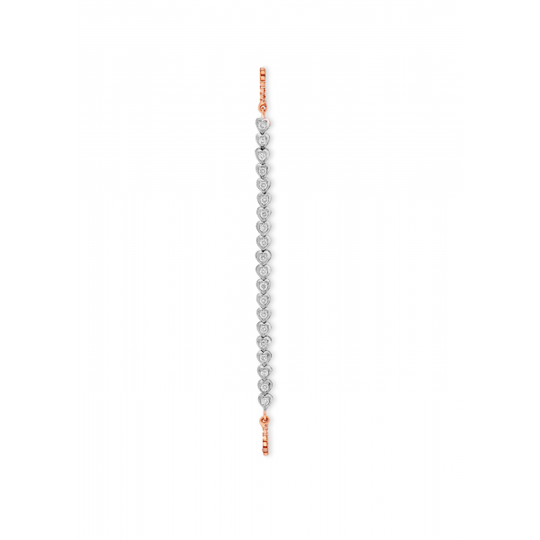 330T1124A75779TLCB0522029075000456600_FV