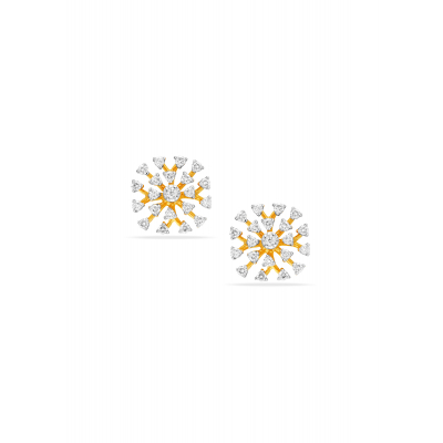 Floral Fractals Earrings