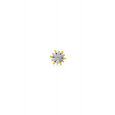 Eternal Floral Inspiration Nose Pin