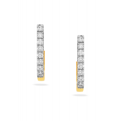 Timeless Hoop Earrings