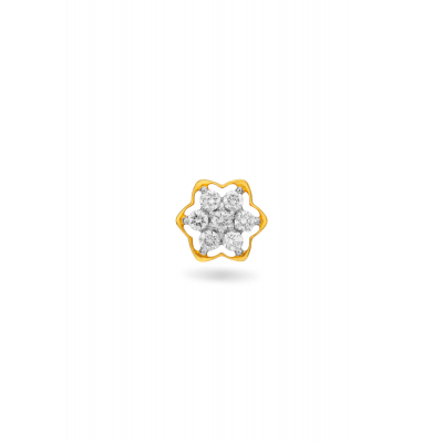 Enchanted Floral Nose Pin
