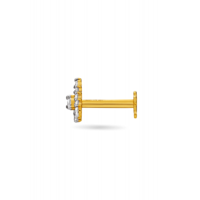 Radiant Sparkle Nose Pin