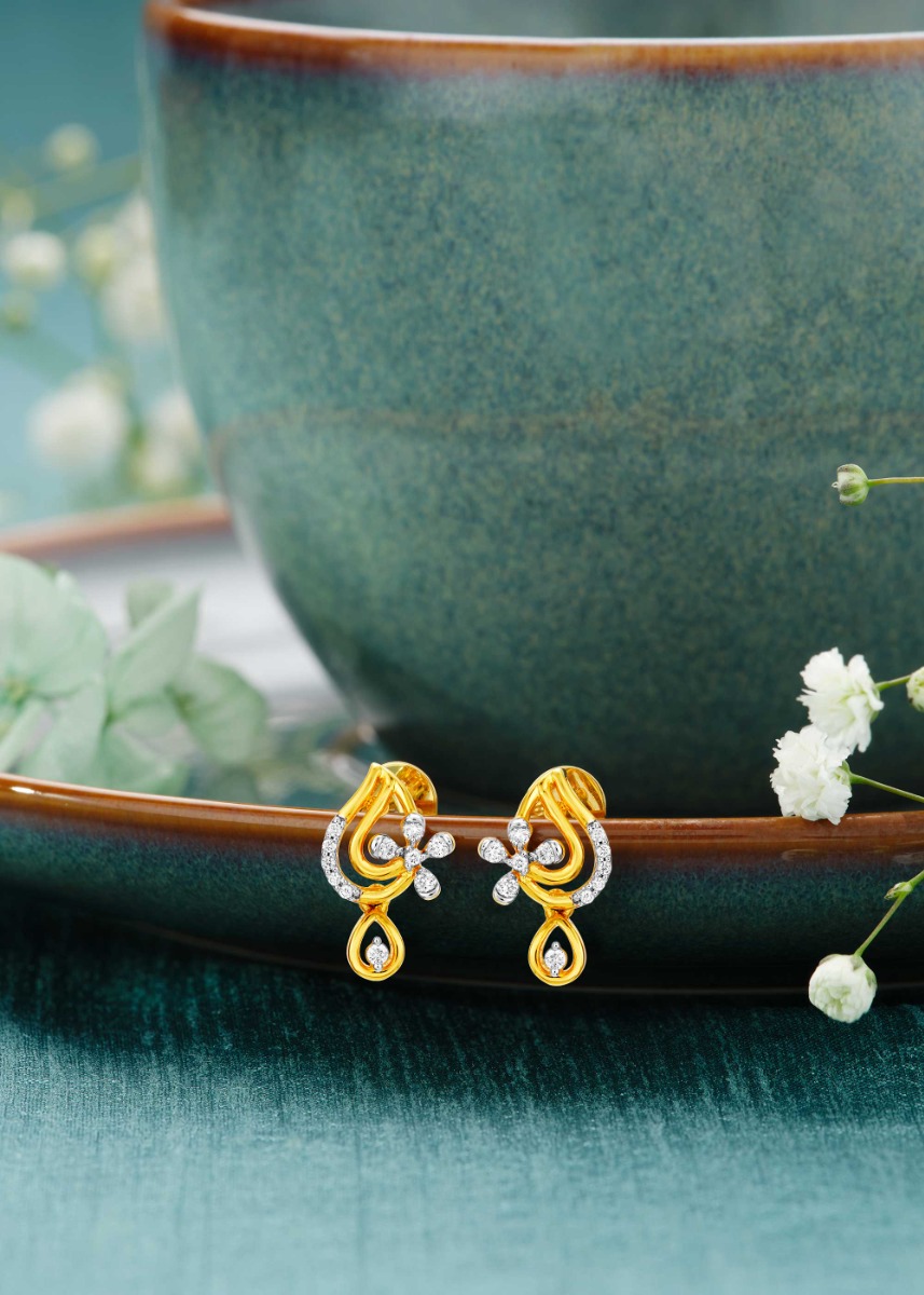 Paisley Charm Earings