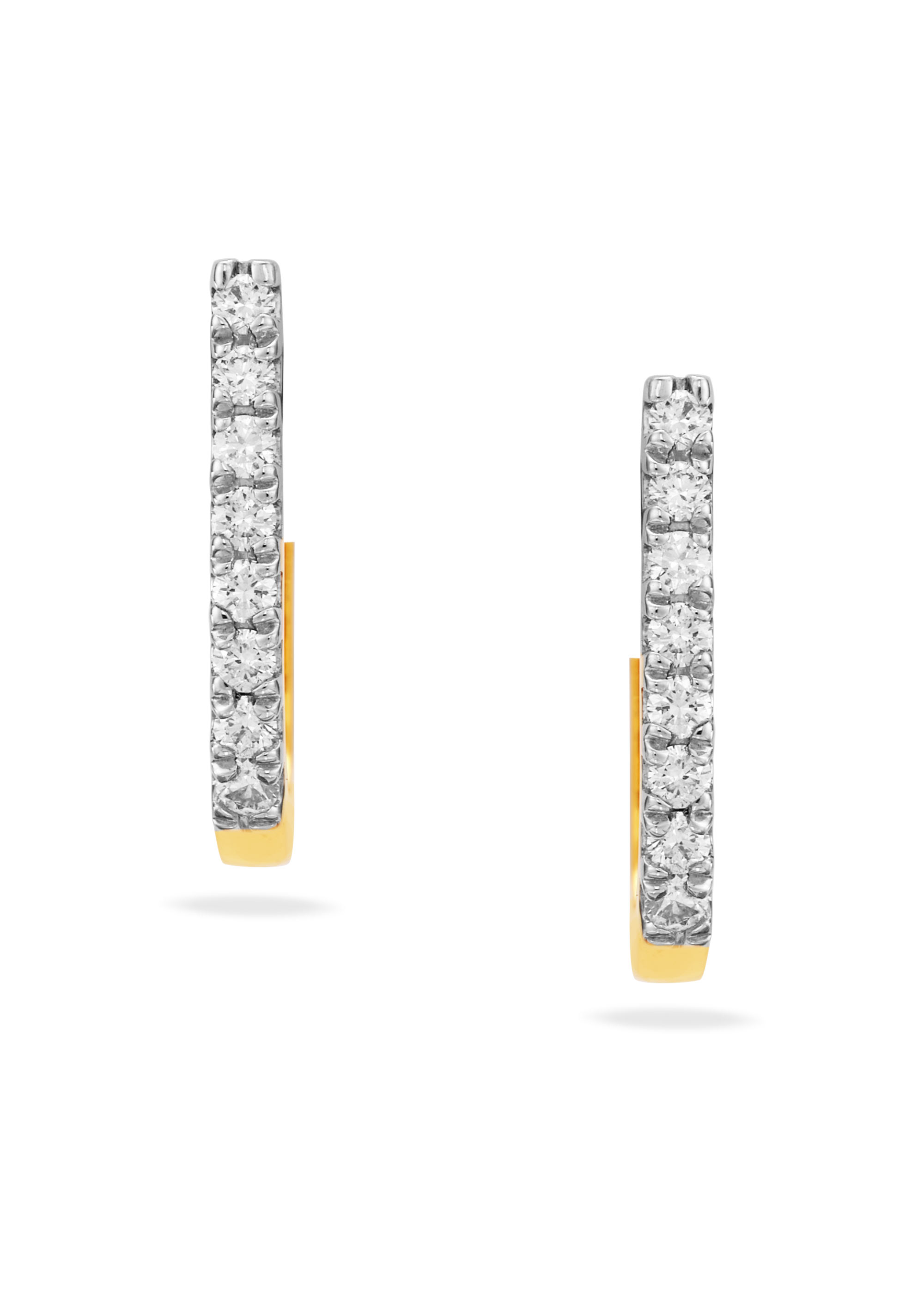 Timeless Hoop Earrings